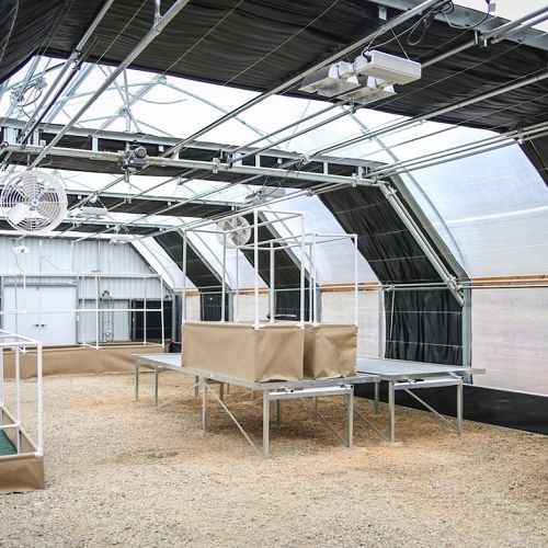 Greenhouse Blackout