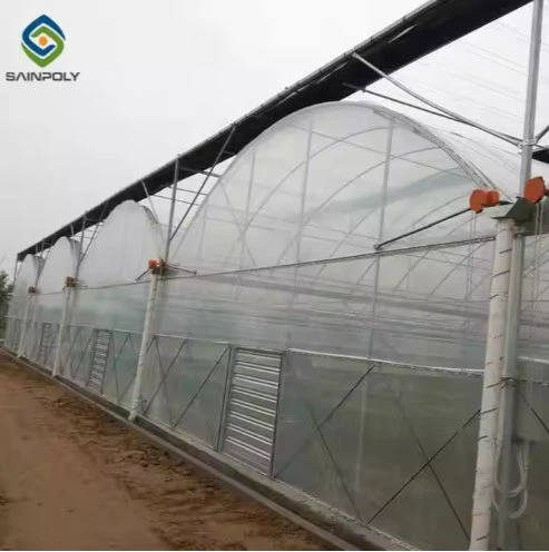 Poly Film Greenhouse