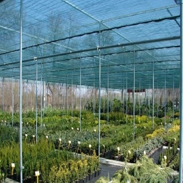 product-600-600 product-600-600