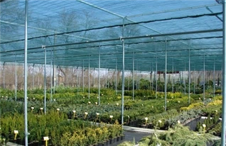Rete ombreggiante in HDPE