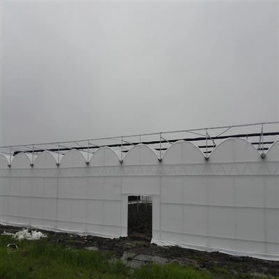 Serra in film plastico bianco